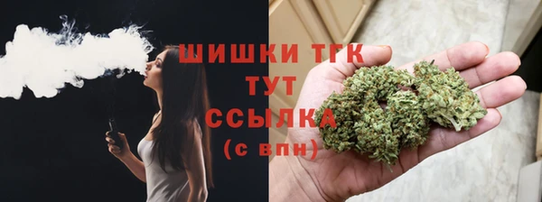 мдпв Кодинск