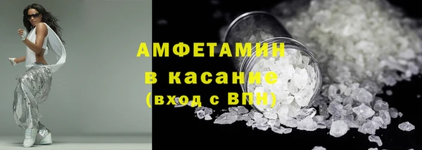 индика Козельск