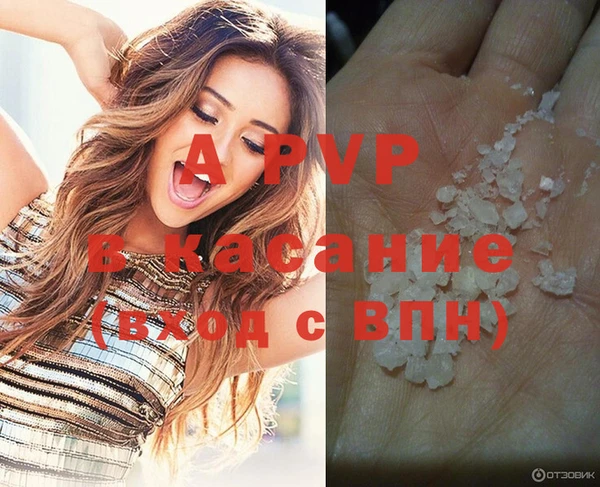 spice Кинешма