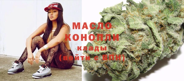 индика Козельск