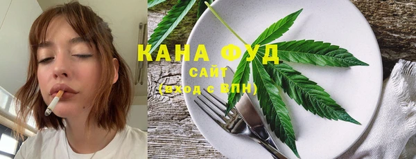 мдпв Кодинск