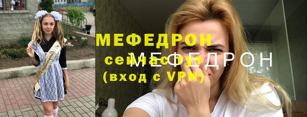 индика Козельск