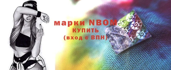 индика Козельск