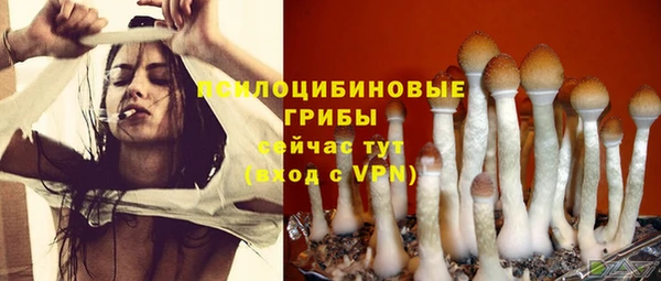 mdpv Козловка