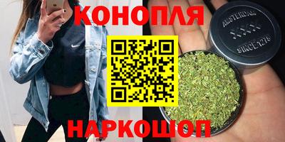 мяу мяу мука Краснознаменск