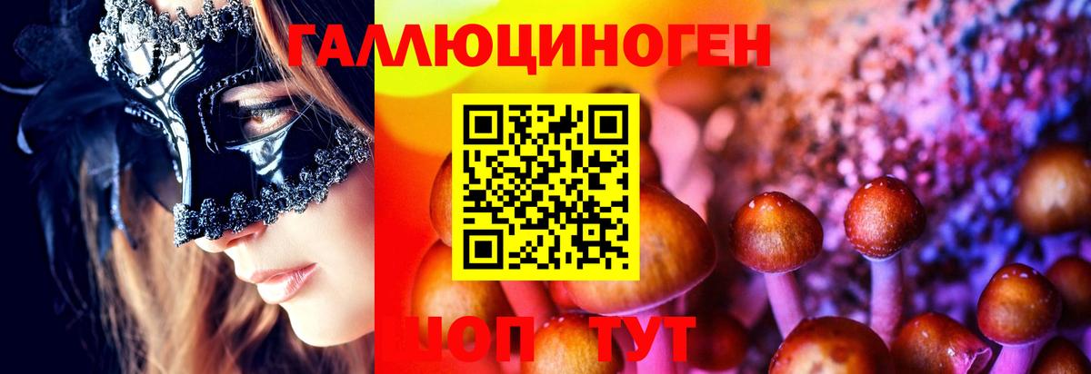 Котовск  Галлюциногенные грибы мицелий  Вход с VPN 