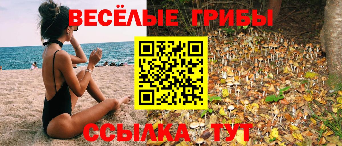 Галлюциногенные грибы MAGIC MUSHROOMS Котовск